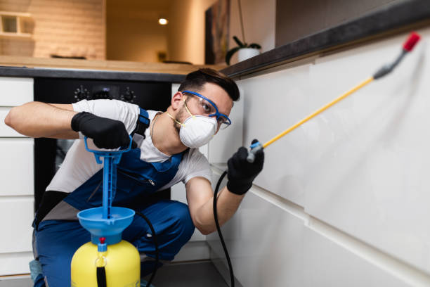 Best Rat Extermination Near Me  in New Burlington, OH