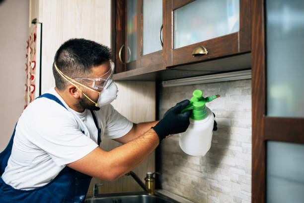 Best Cockroach Control Services  in New Burlington, OH
