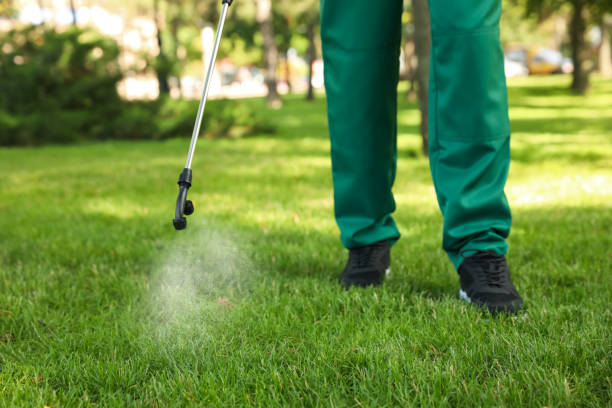 Best Pest Removal Services  in New Burlington, OH