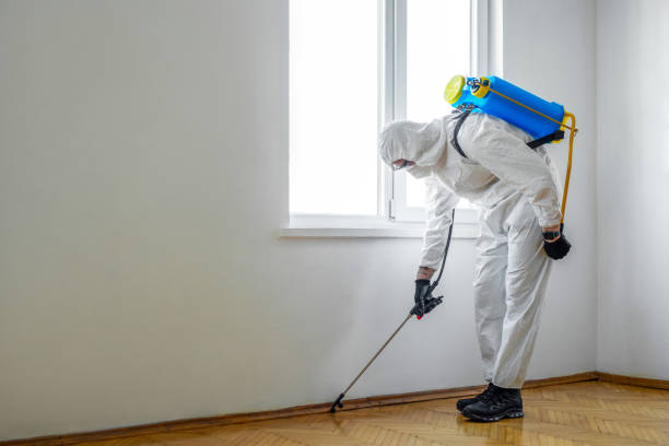 Best Wildlife Control Services  in New Burlington, OH