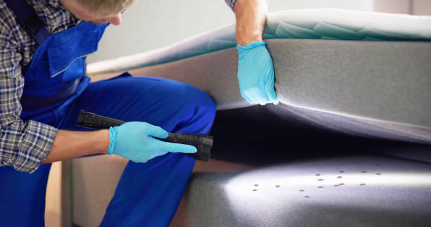 Best Affordable Pest Control Services  in New Burlington, OH