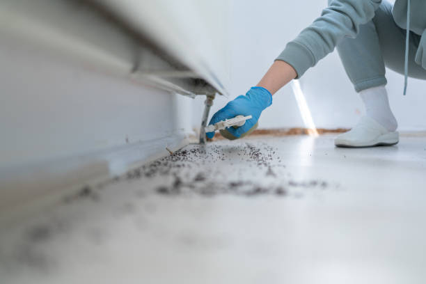 Best Affordable Pest Control Services  in New Burlington, OH